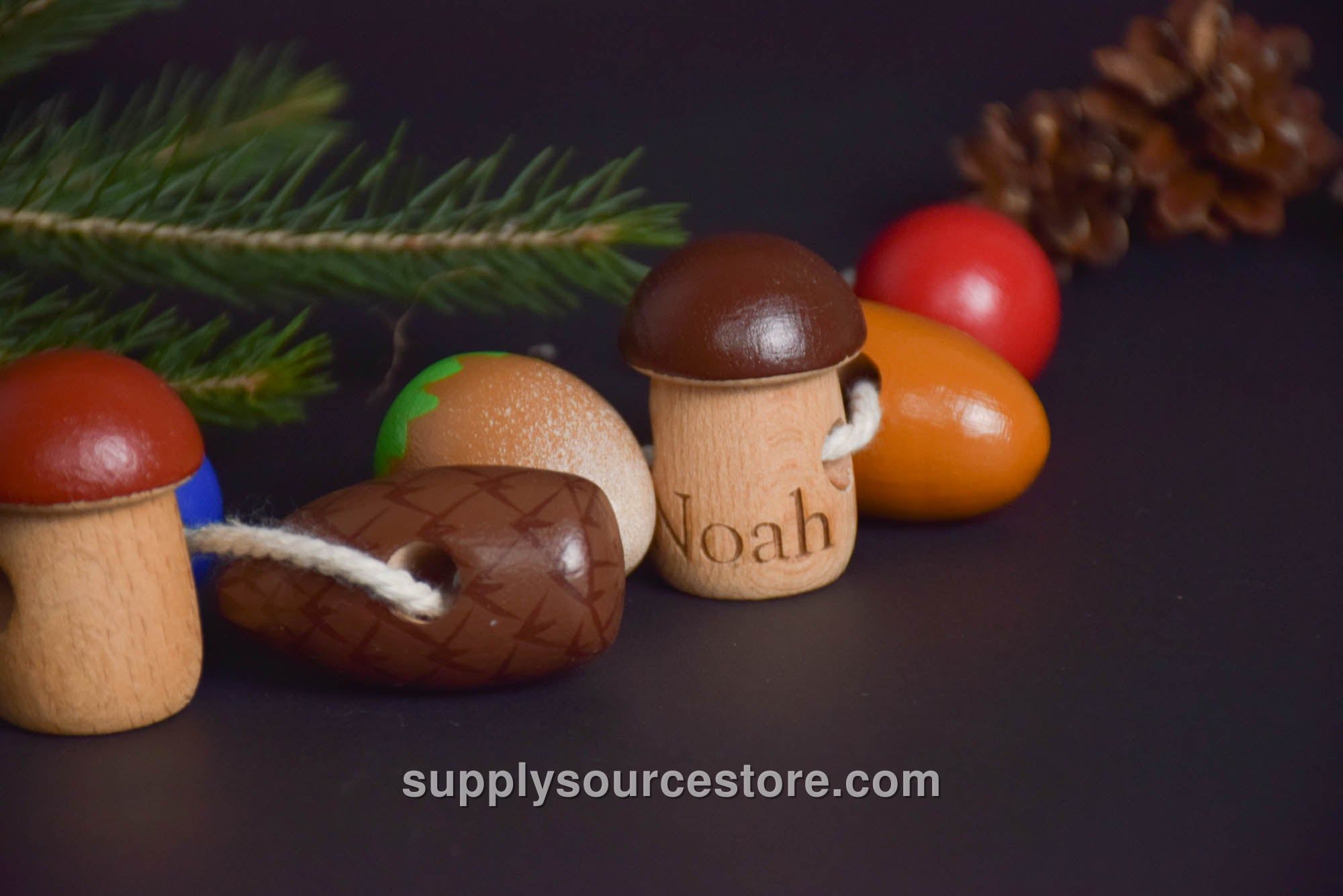 Lacing Toy Forest Gifts