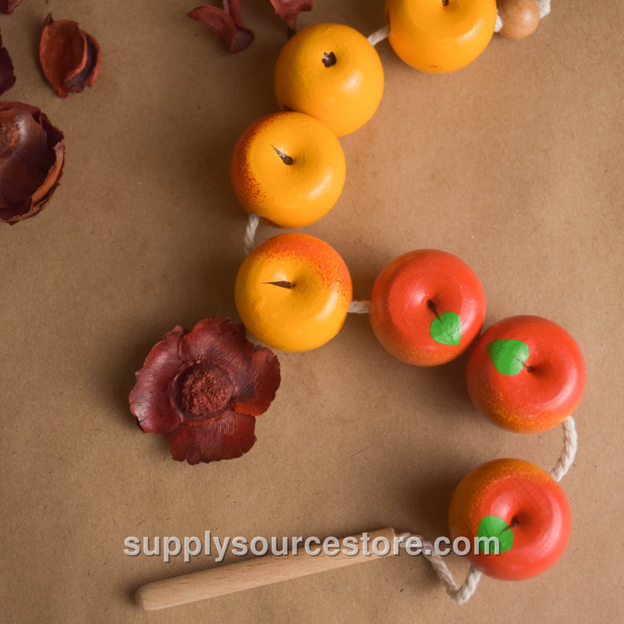 Lacing Toy Appls