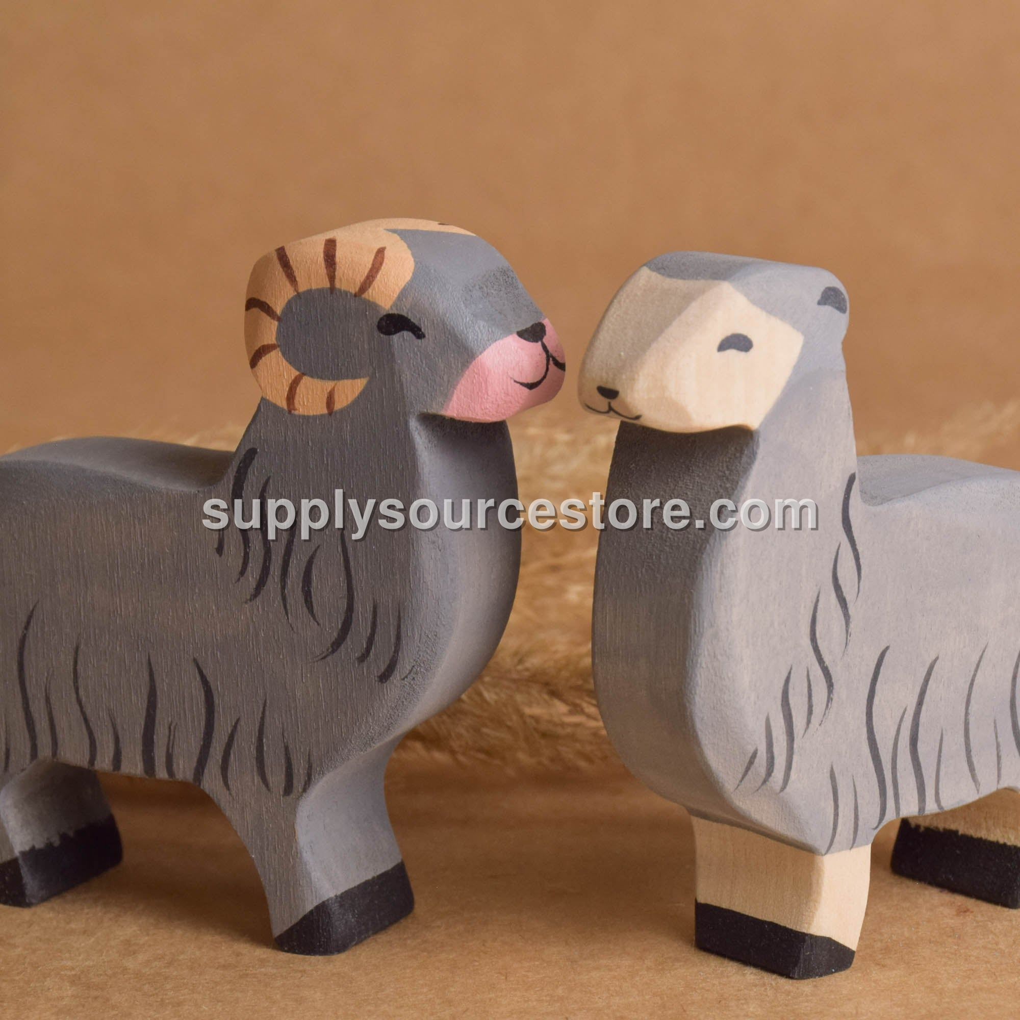 Lamb and Sheep