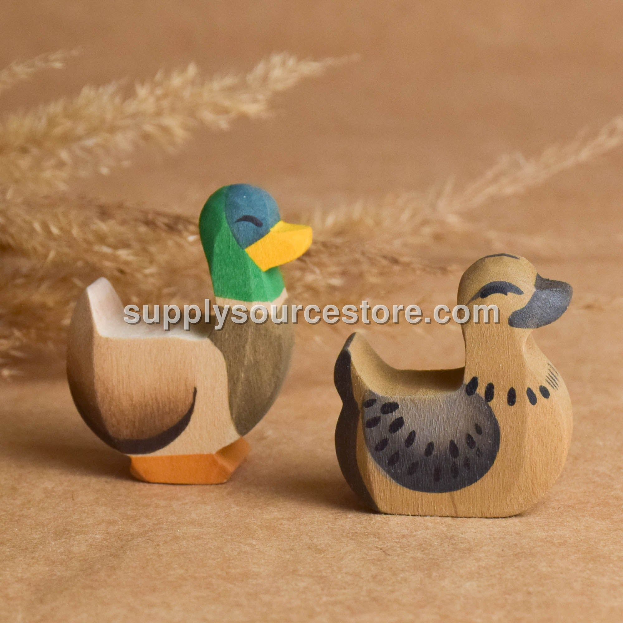 Duck and Drake