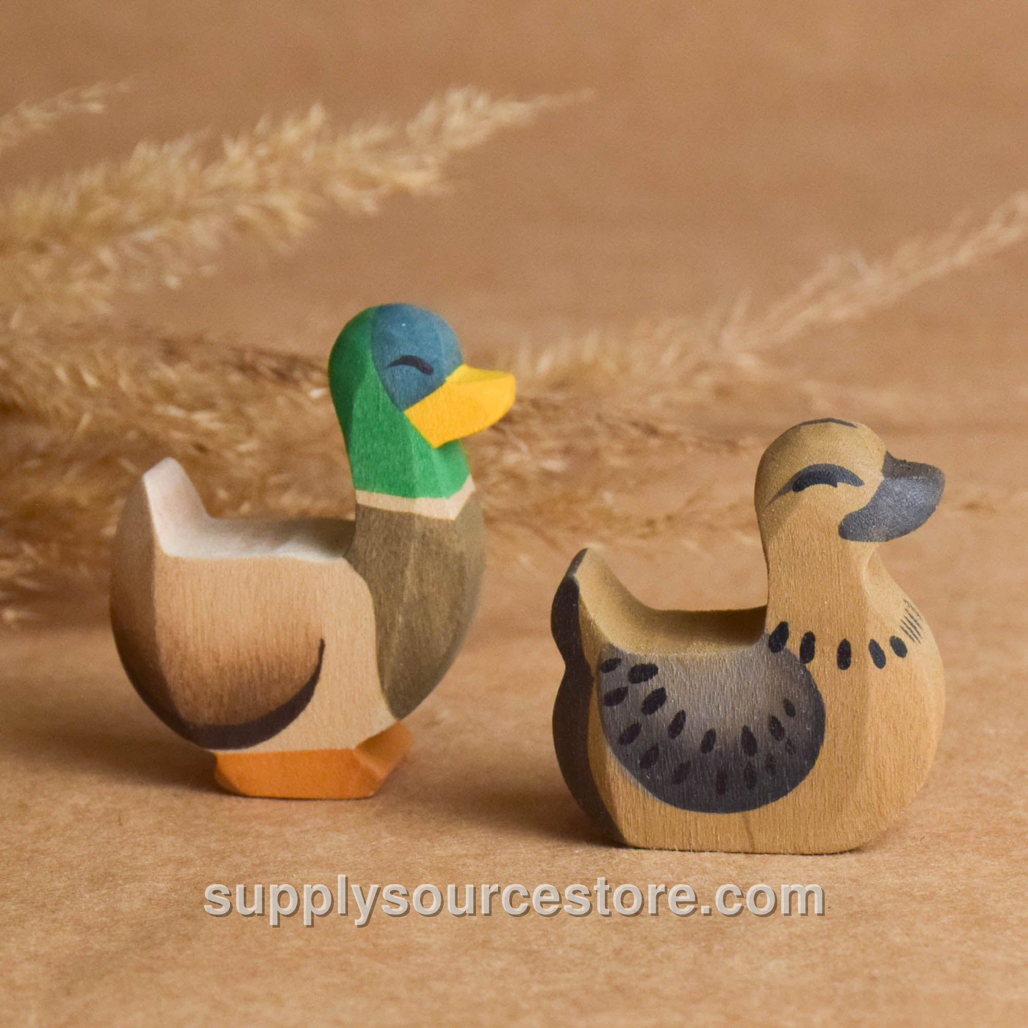 Duck and Drake