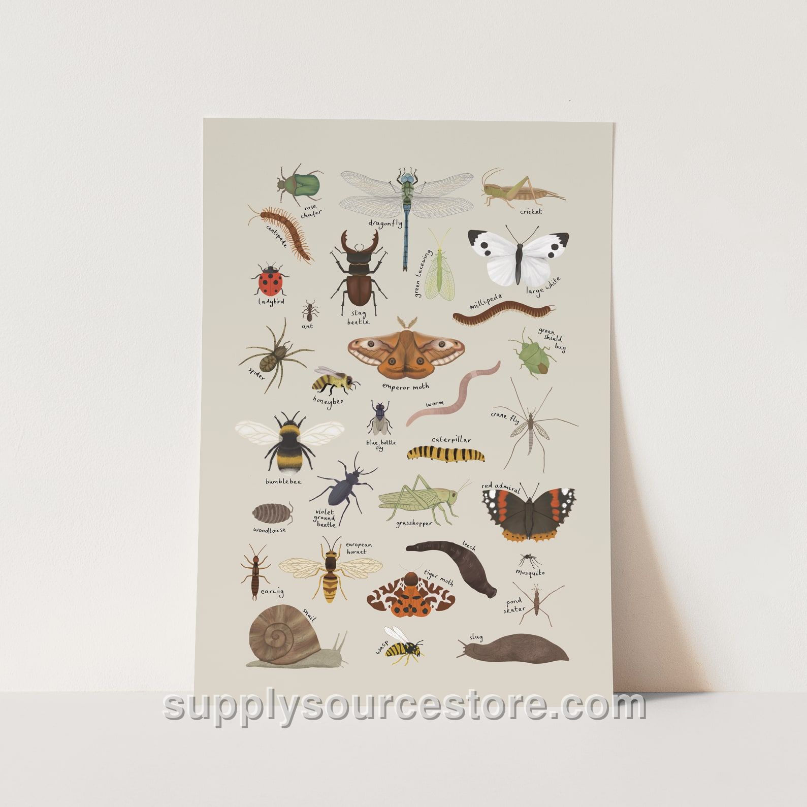 Minibeasts Fine Art Print – Stone