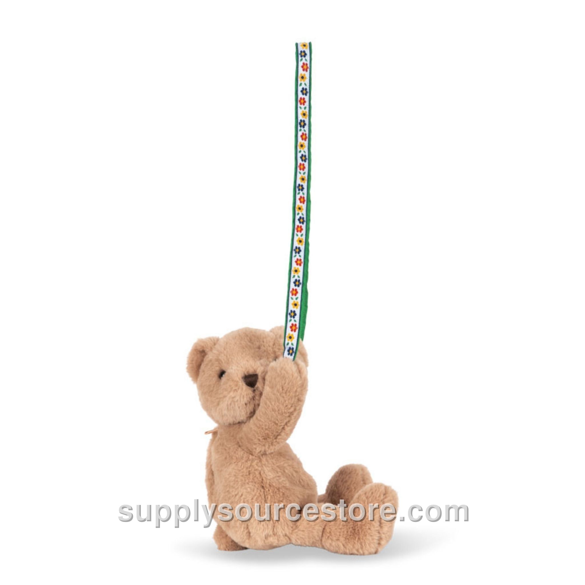 Teddy Bag