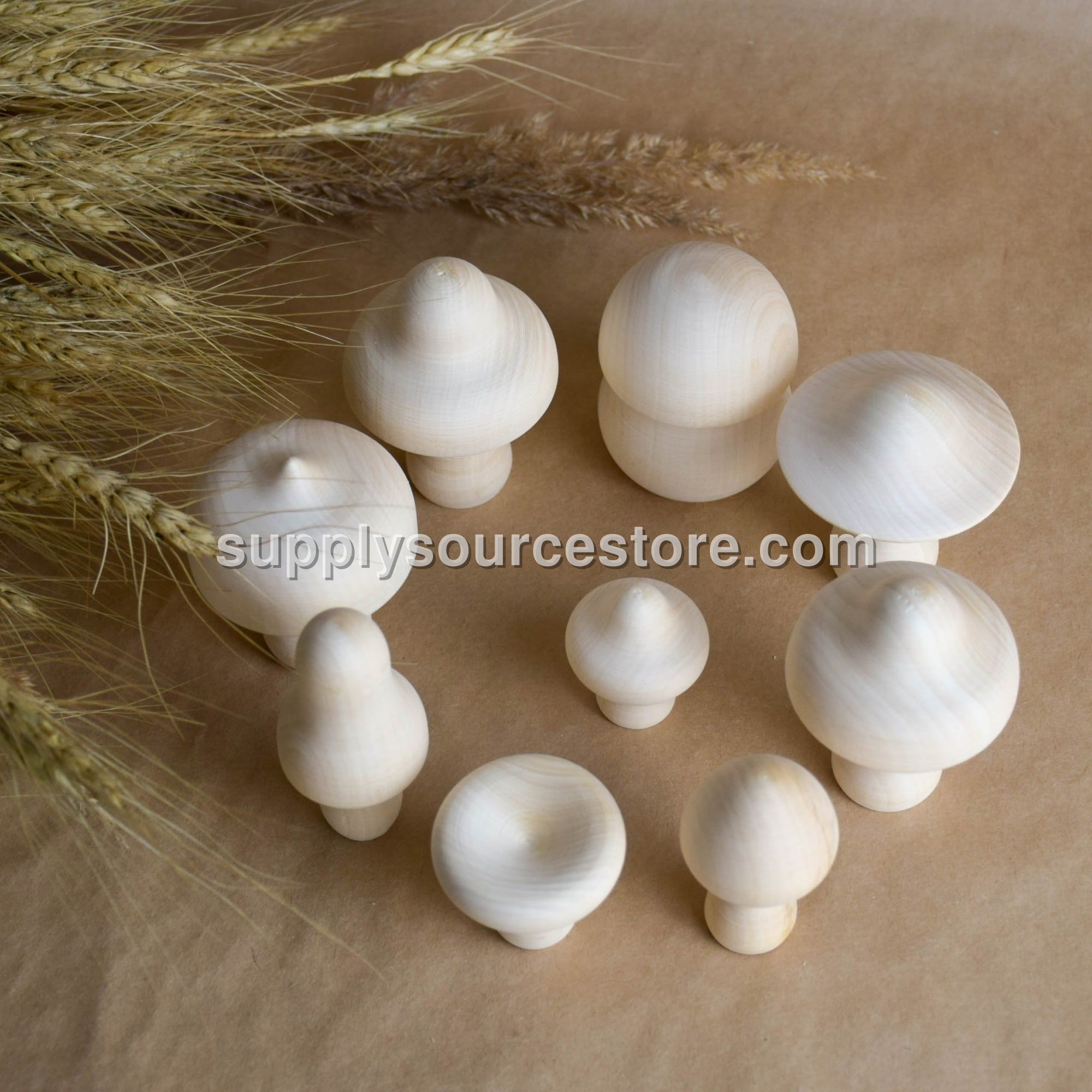 Natural Mushrooms Set