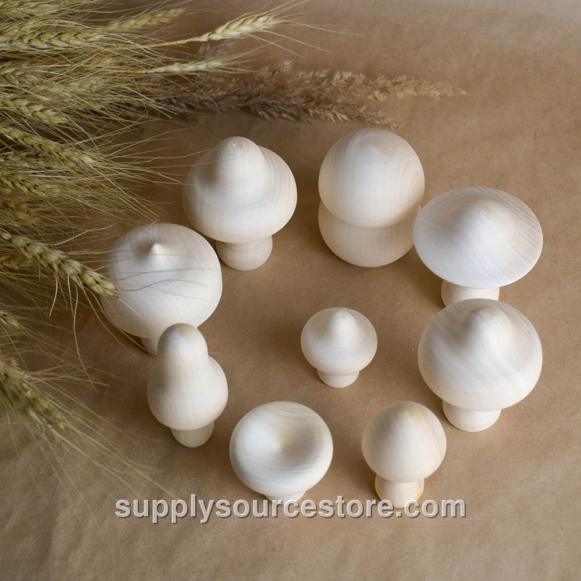 Natural Mushrooms Set · SS-001367