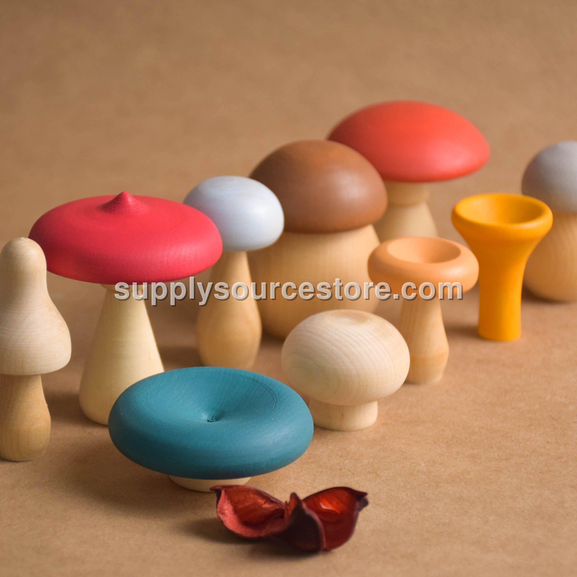 Colored Mushrooms Set