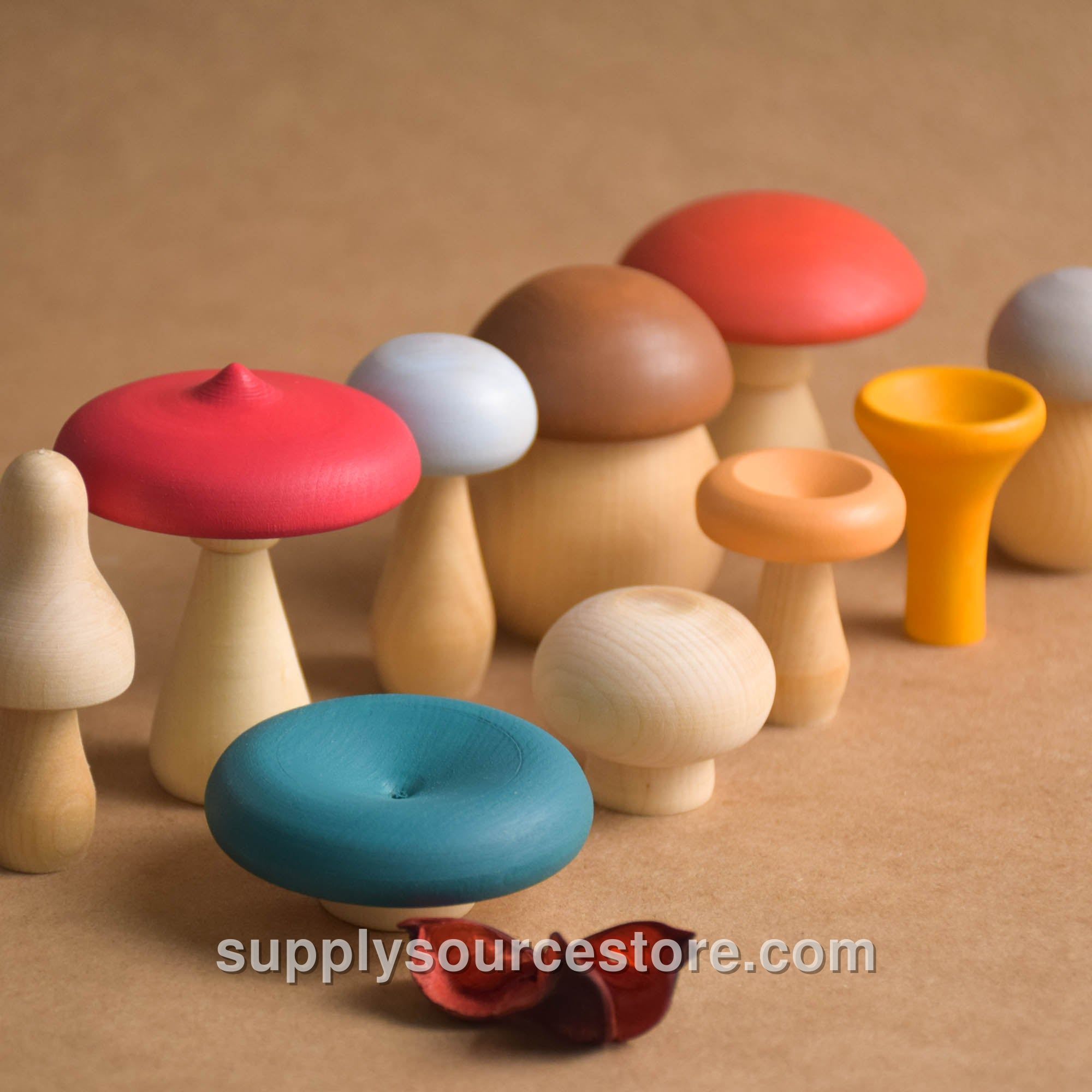 Colored Mushrooms Set