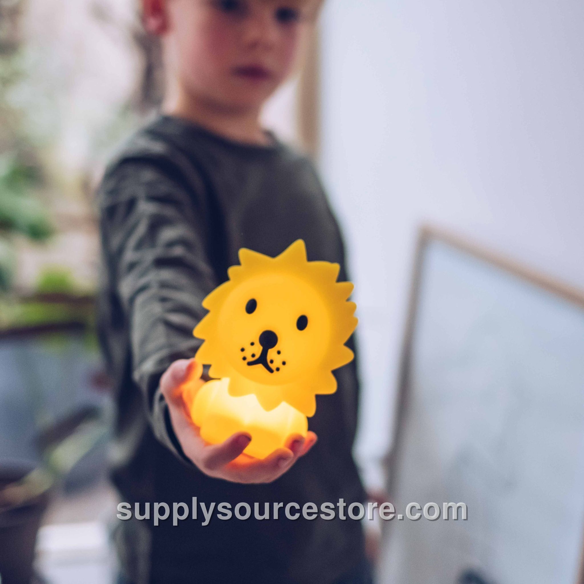 Lion Bundle Of Light