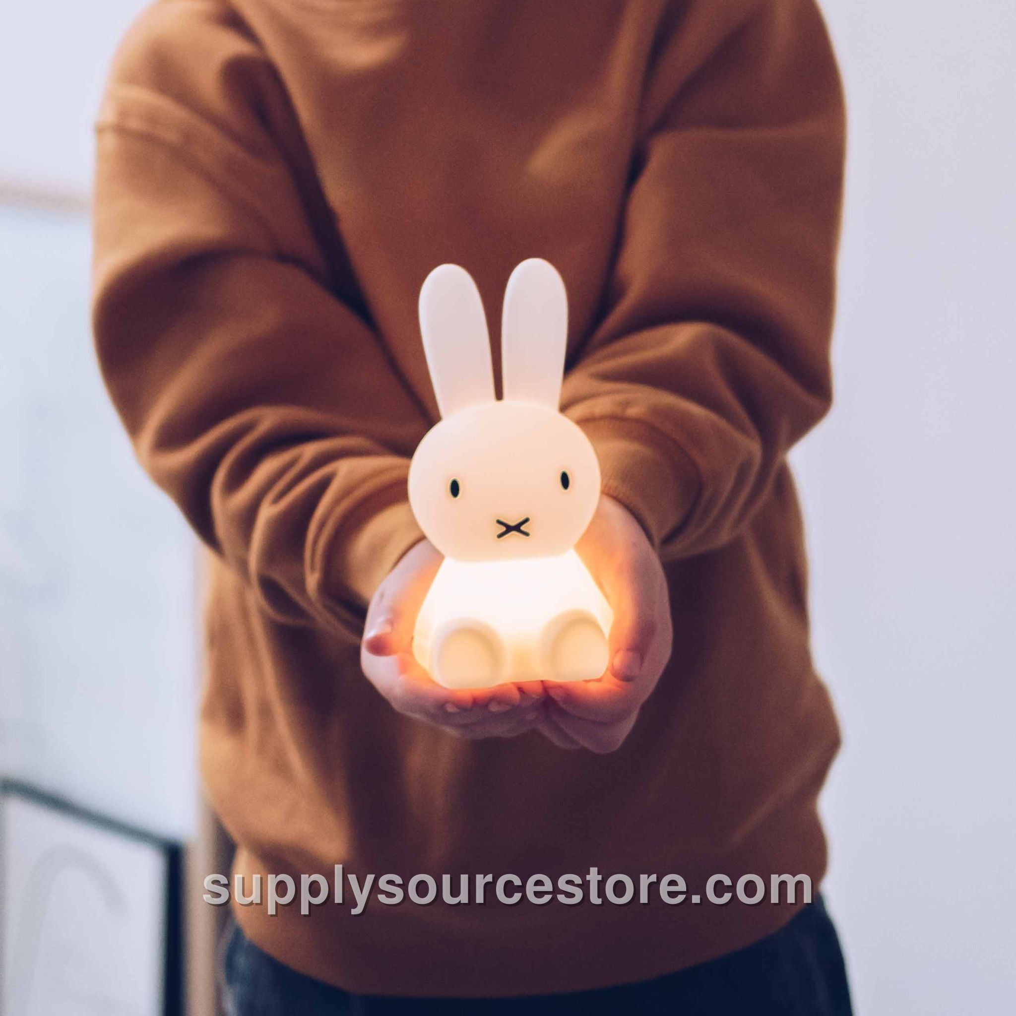 Miffy Bundle Of Light