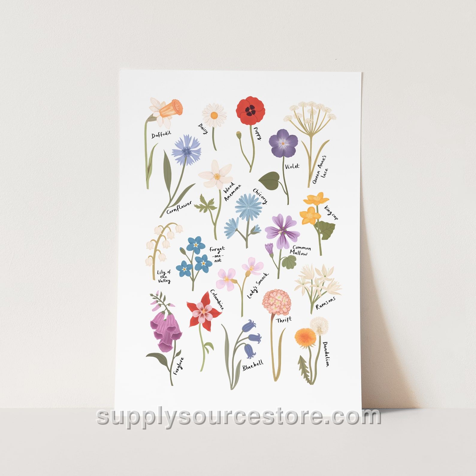 Wildflowers Fine Art Print