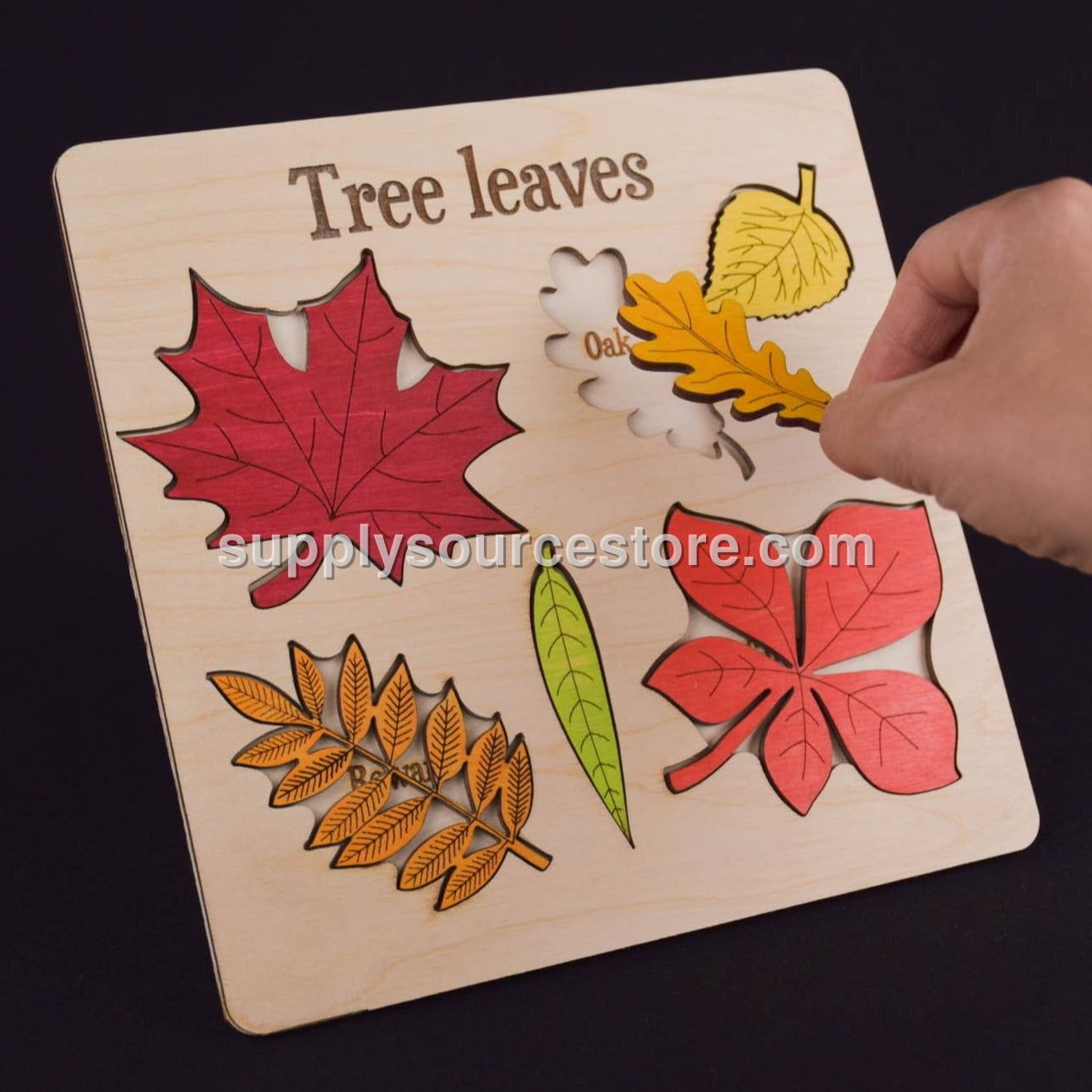 Leaf Puzzle Montessori