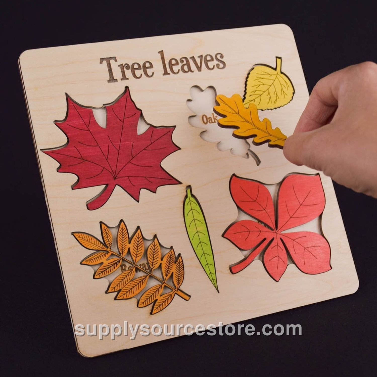 Leaf Puzzle Montessori