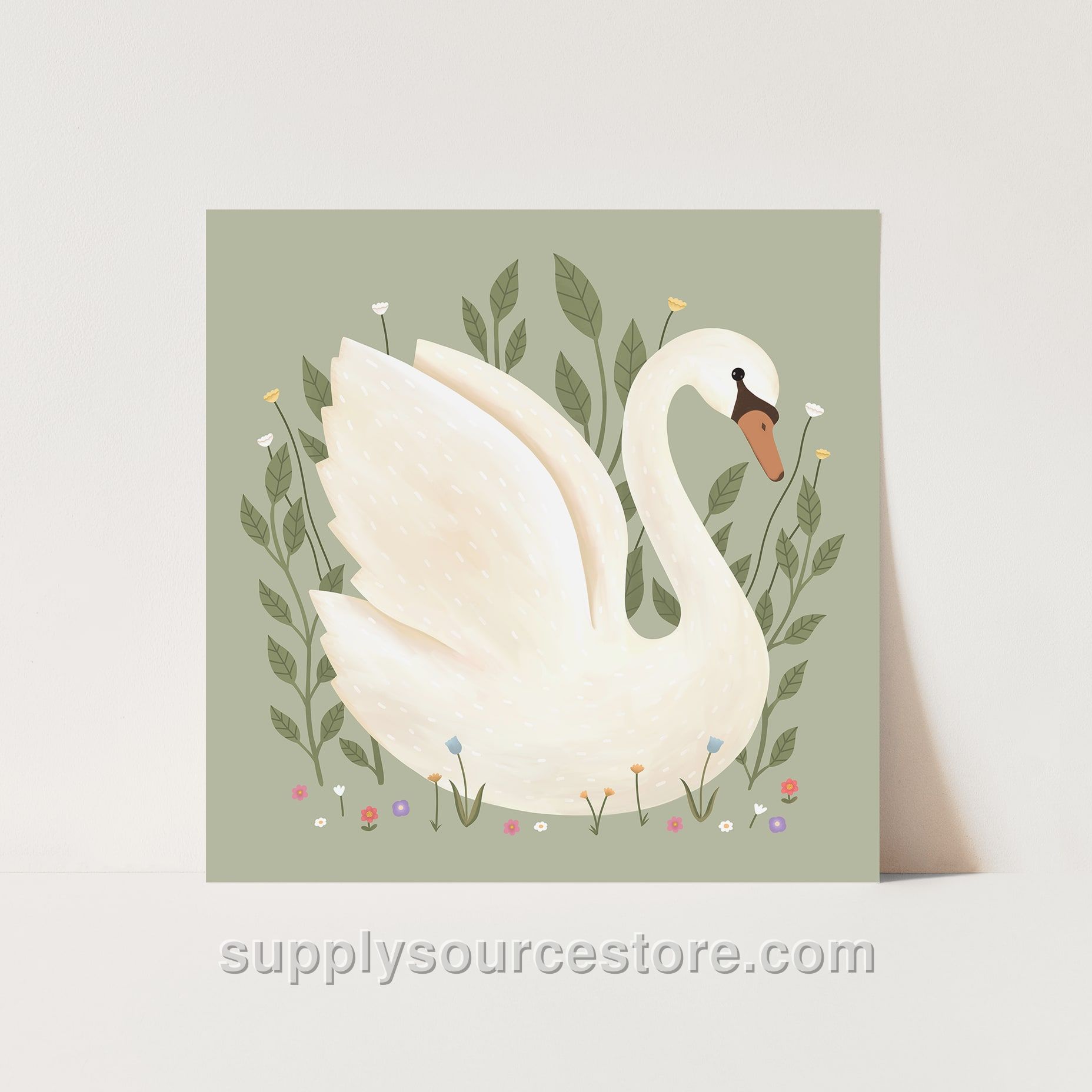 Swan Fine Art Print - Sage