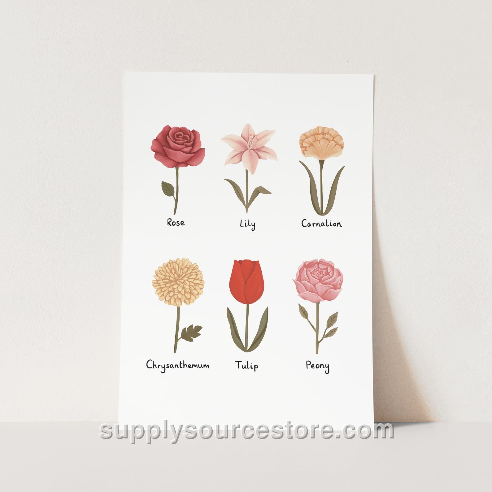 Flowers Fine Art Print - White