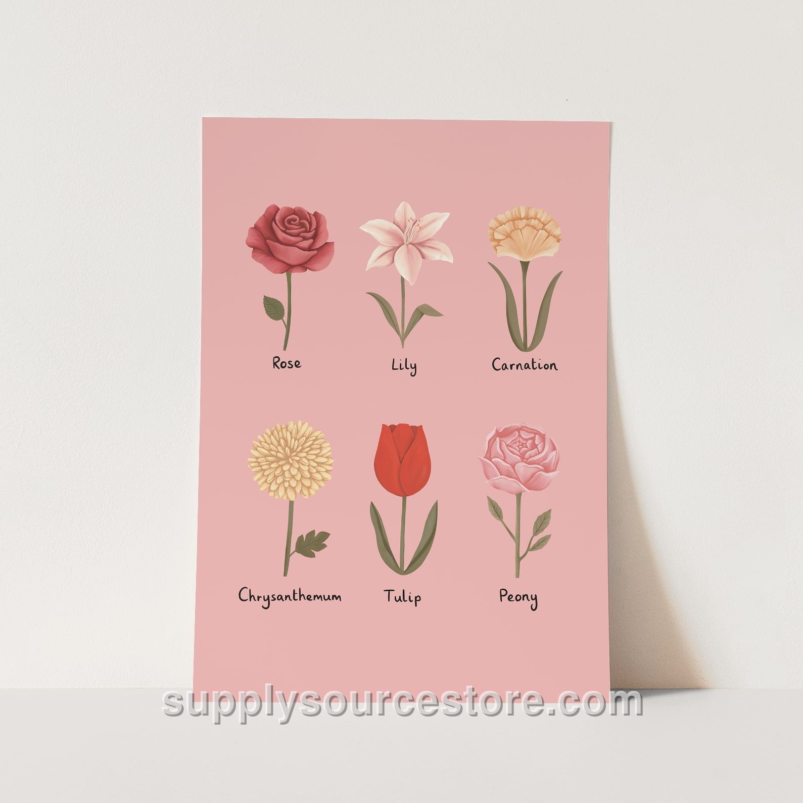 Flowers Fine Art Print - Pink