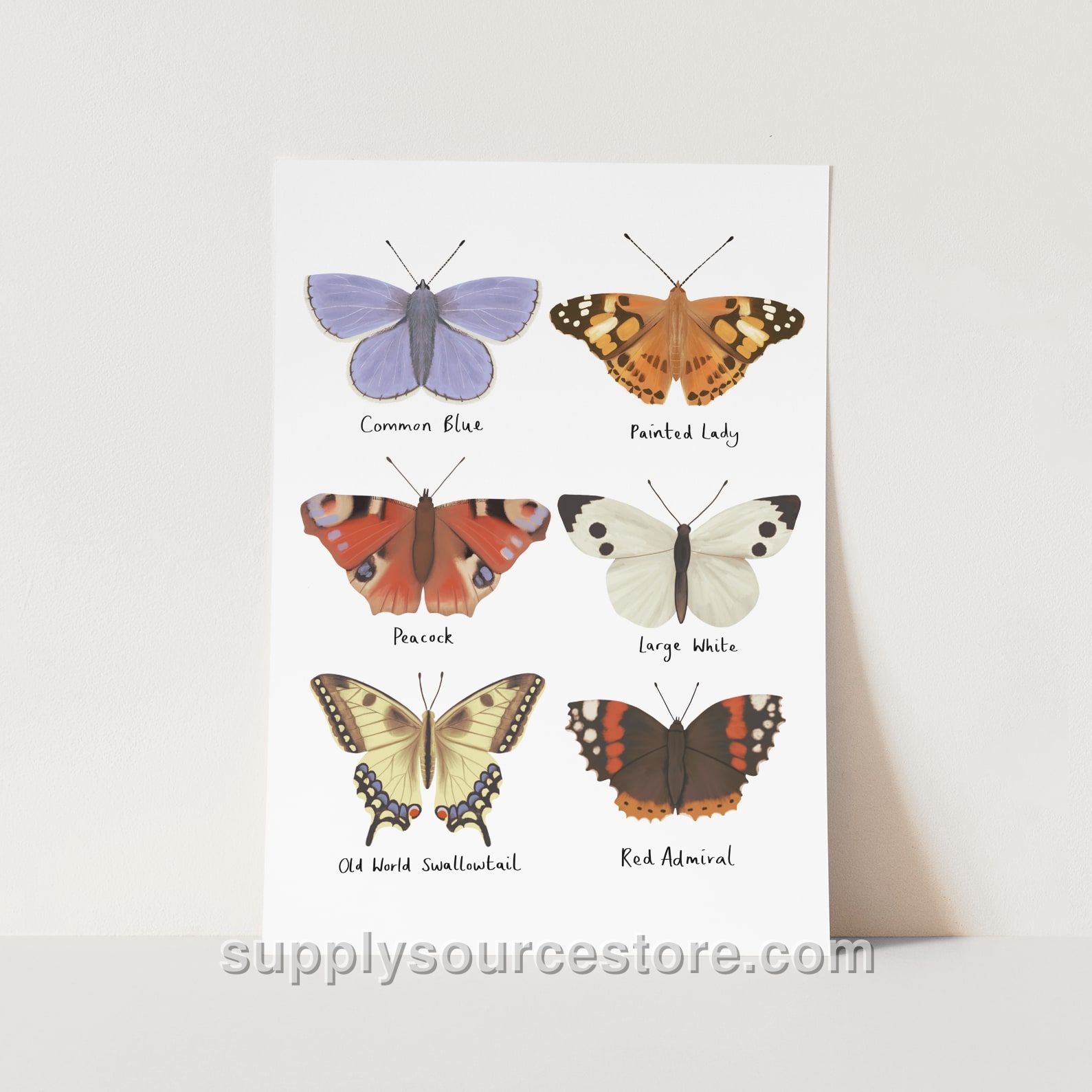 Butterflies Fine Art Print