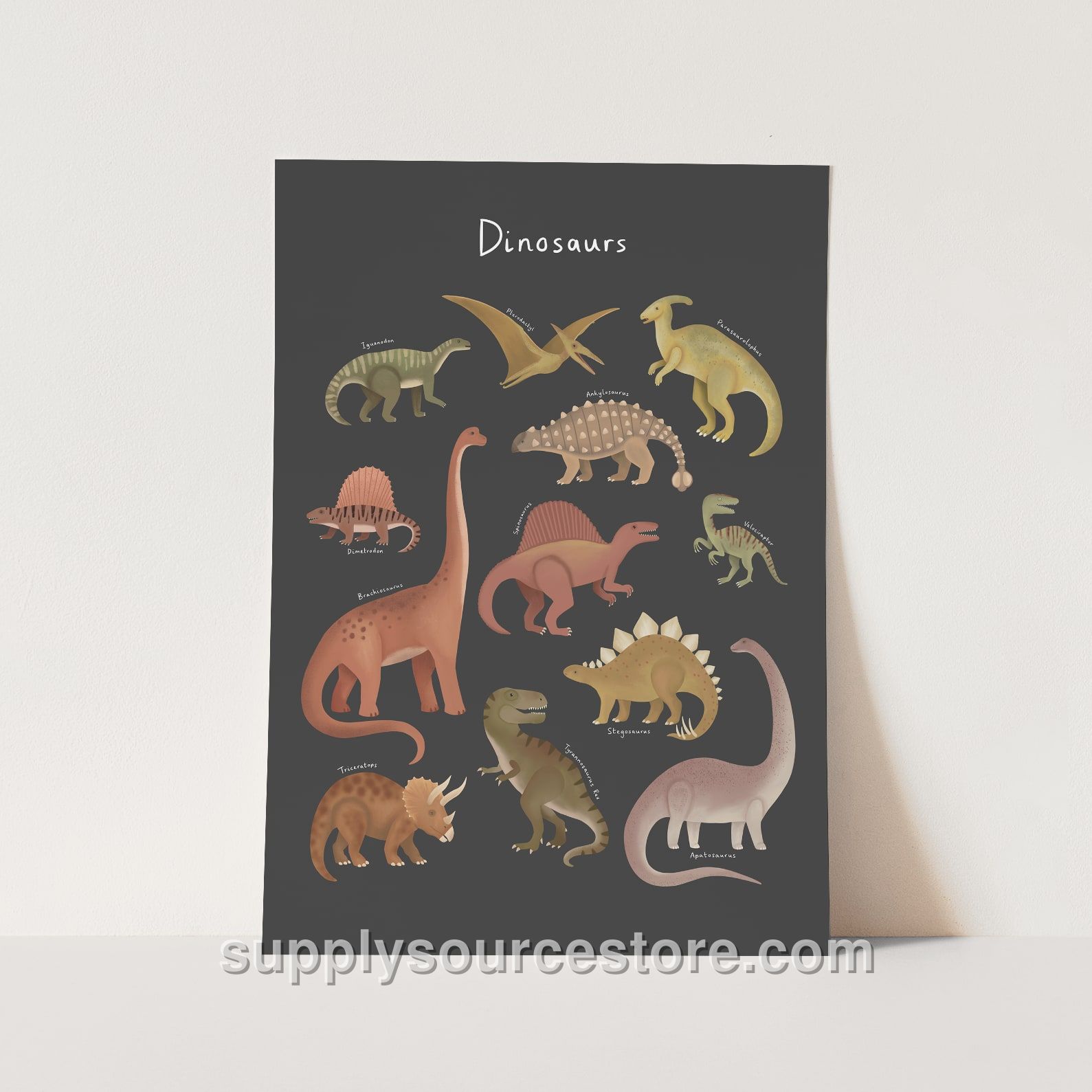 Dinosaur Chart Fine Art Print - Black