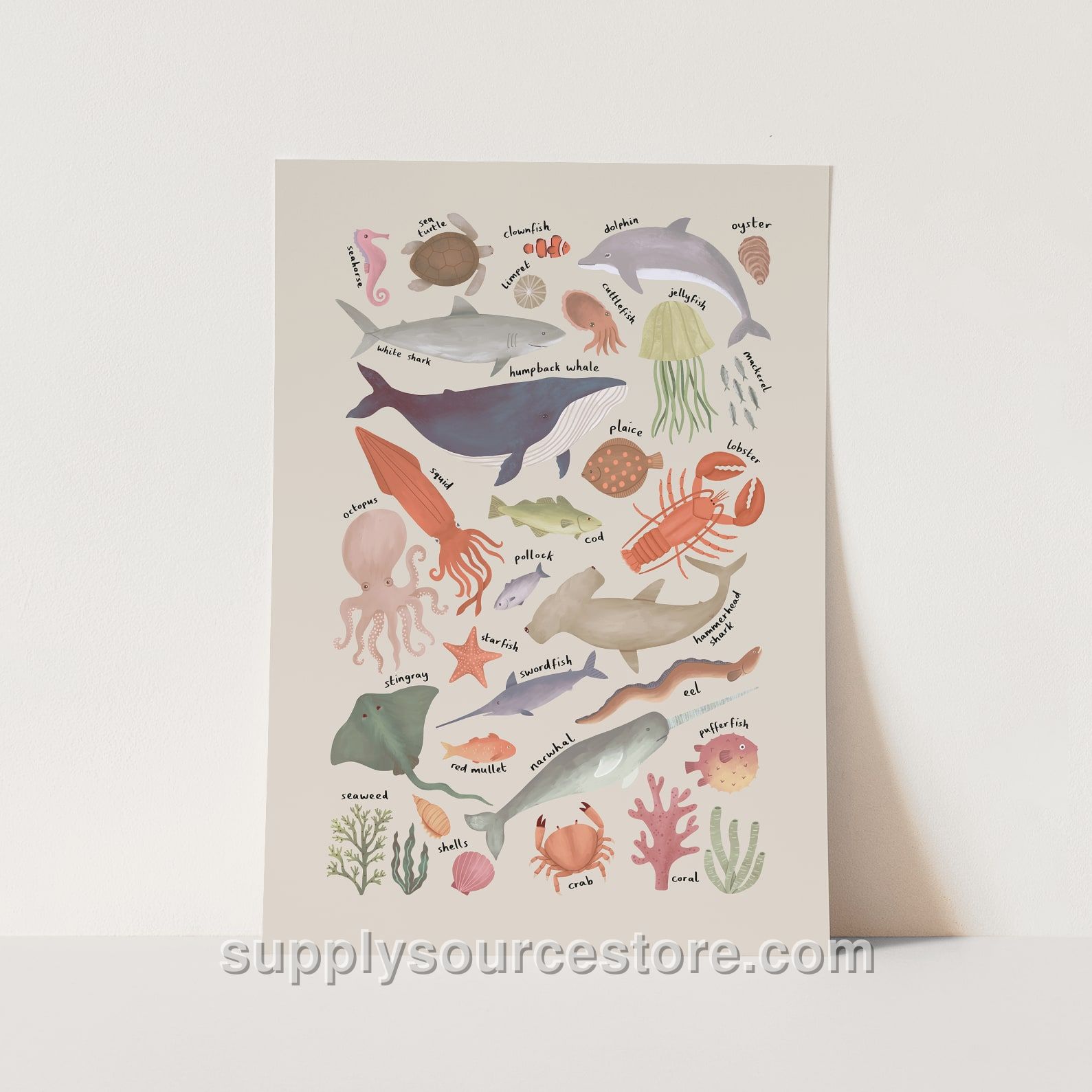 Ocean Life Chart Fine Art Print - Stone