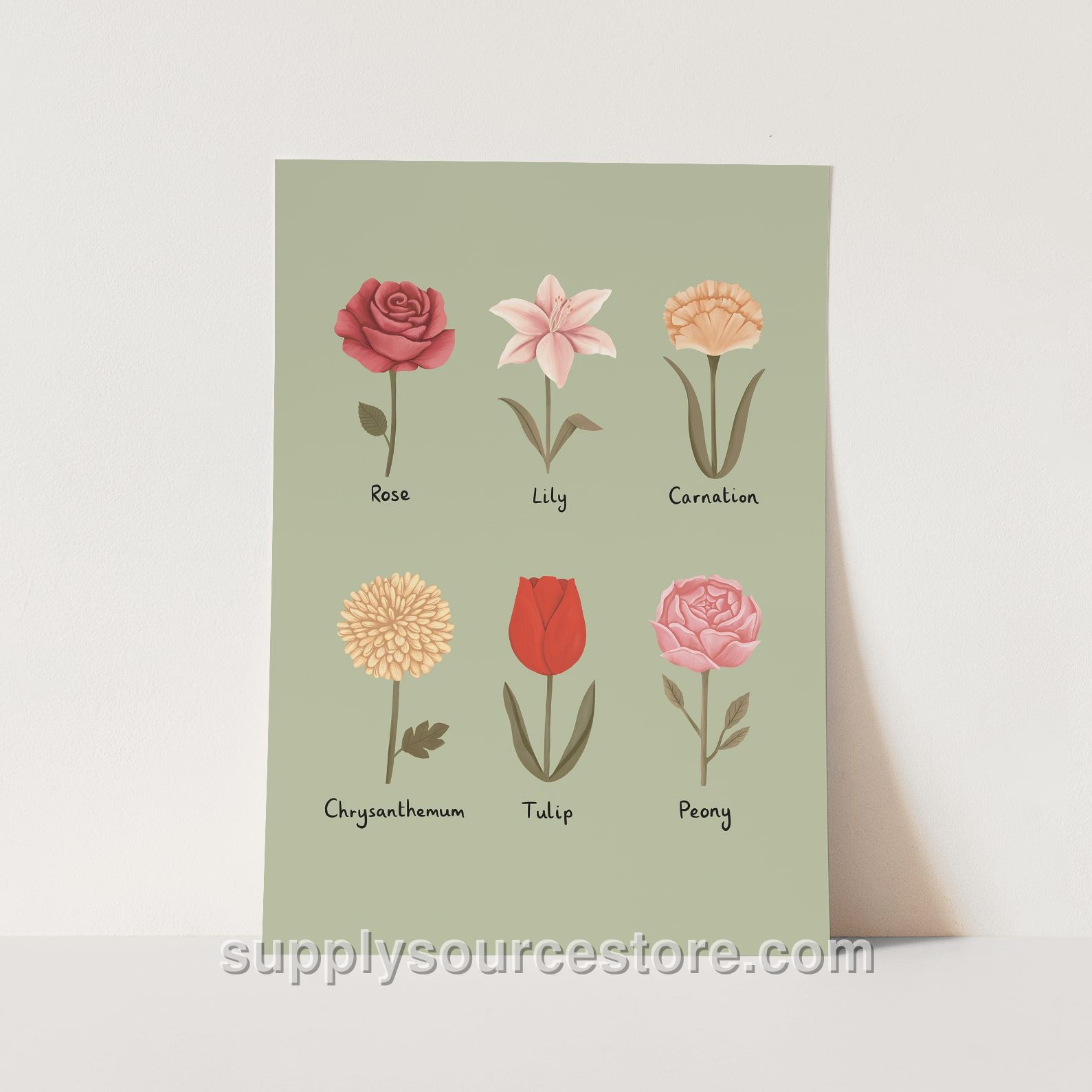 Flowers Fine Art Print - Sage