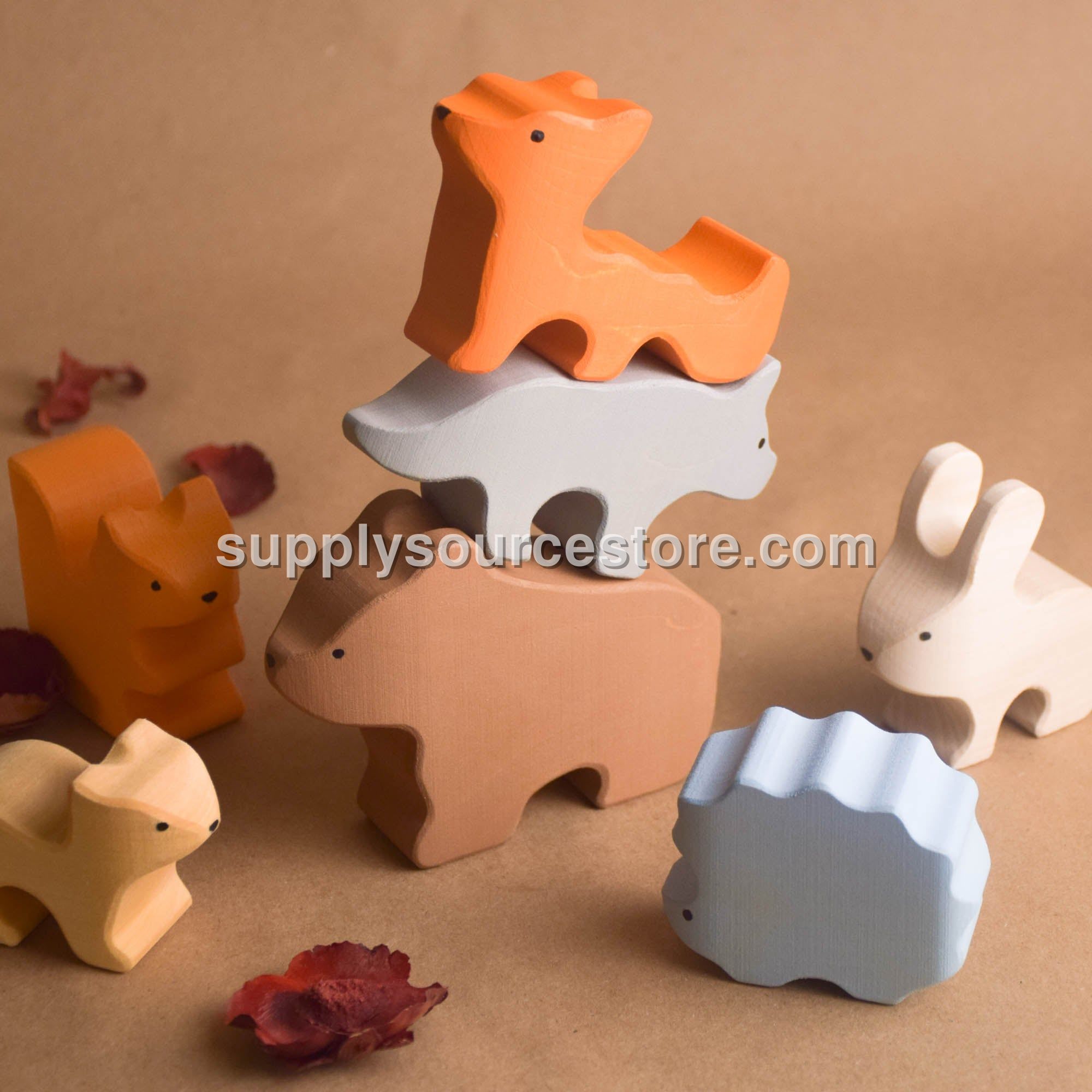 Colored Animals Set