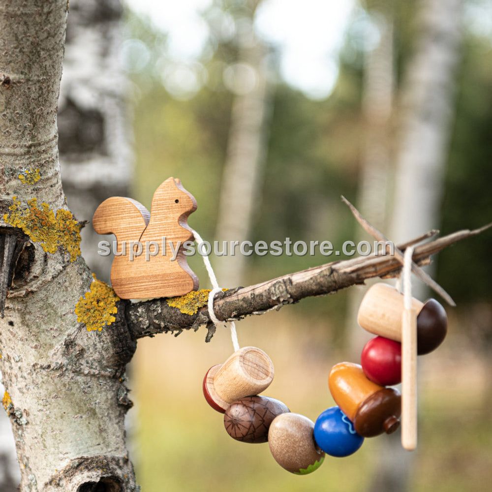 Squirrel Lacing Toy