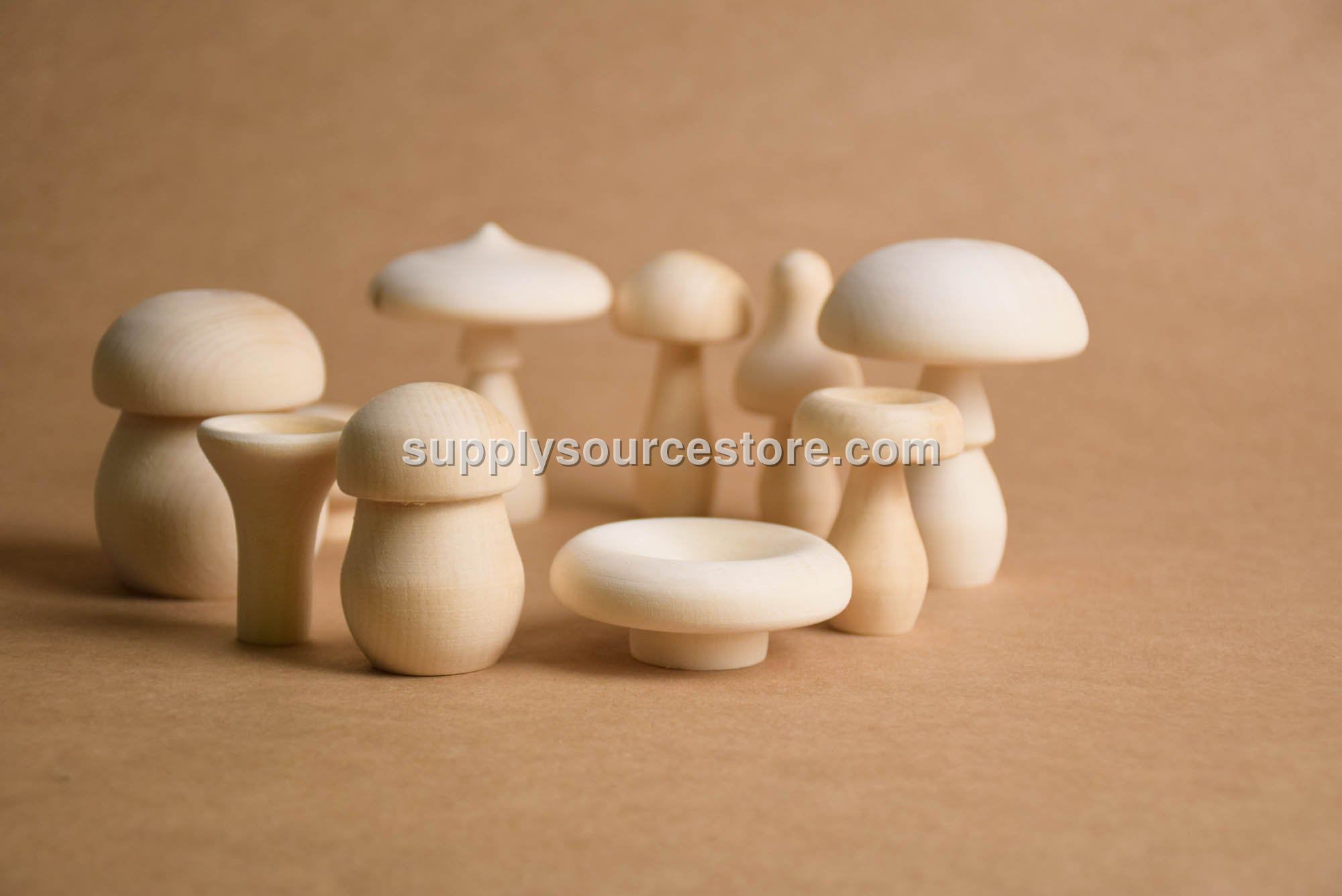 Natural Mushrooms Set