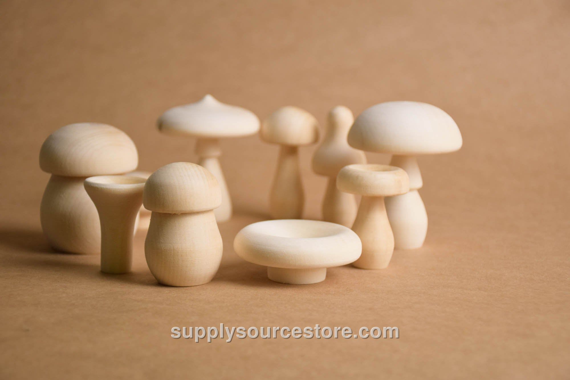 Natural Mushrooms Set · SS-001451