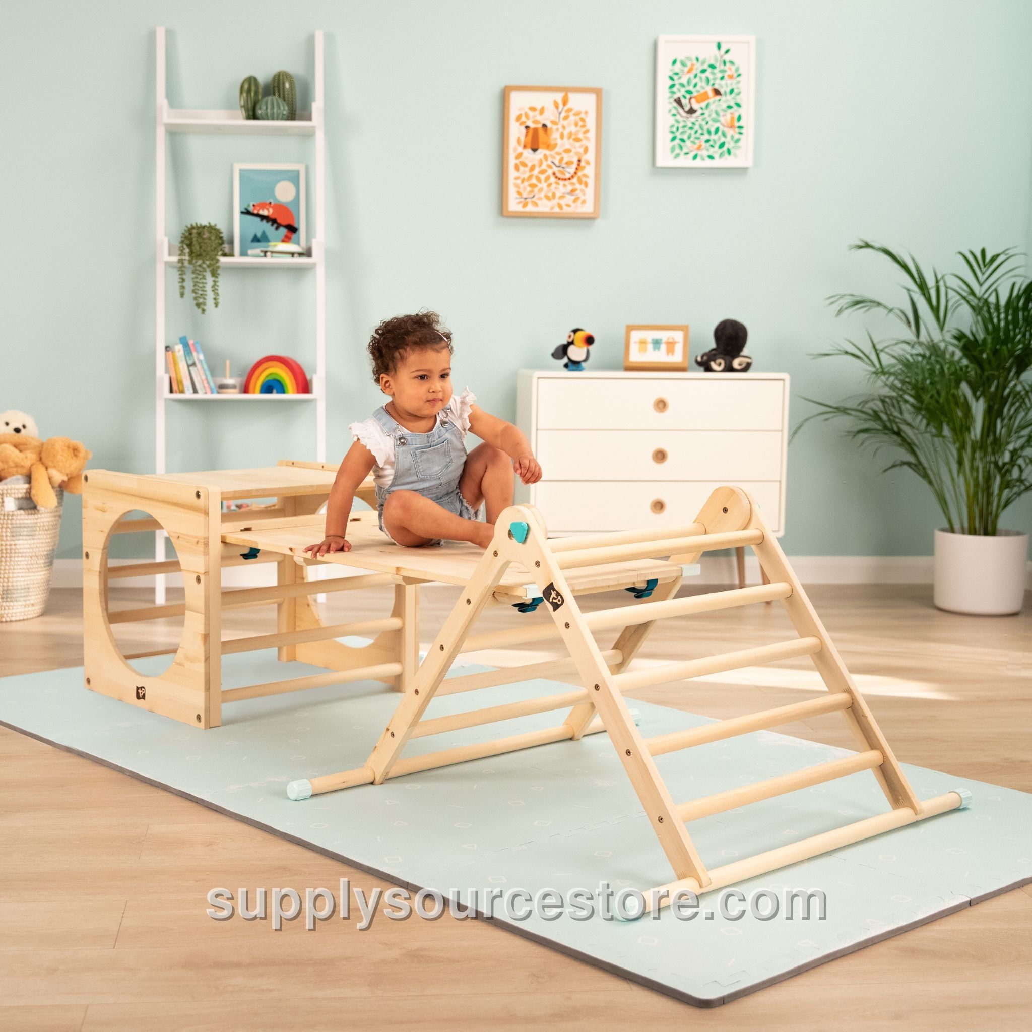 Climbing Cube & Triangle with Slide/Bridge