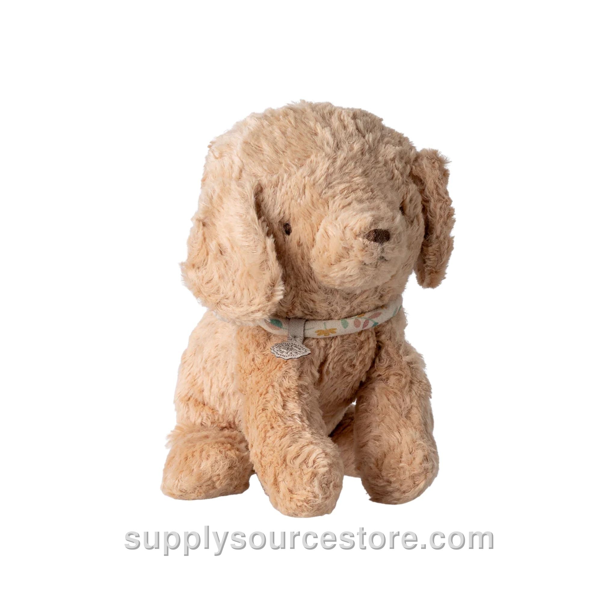 Small Puppy - Dusty Powder