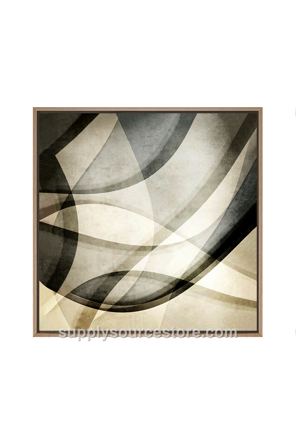 Abstract Canvas Print · SS-014964