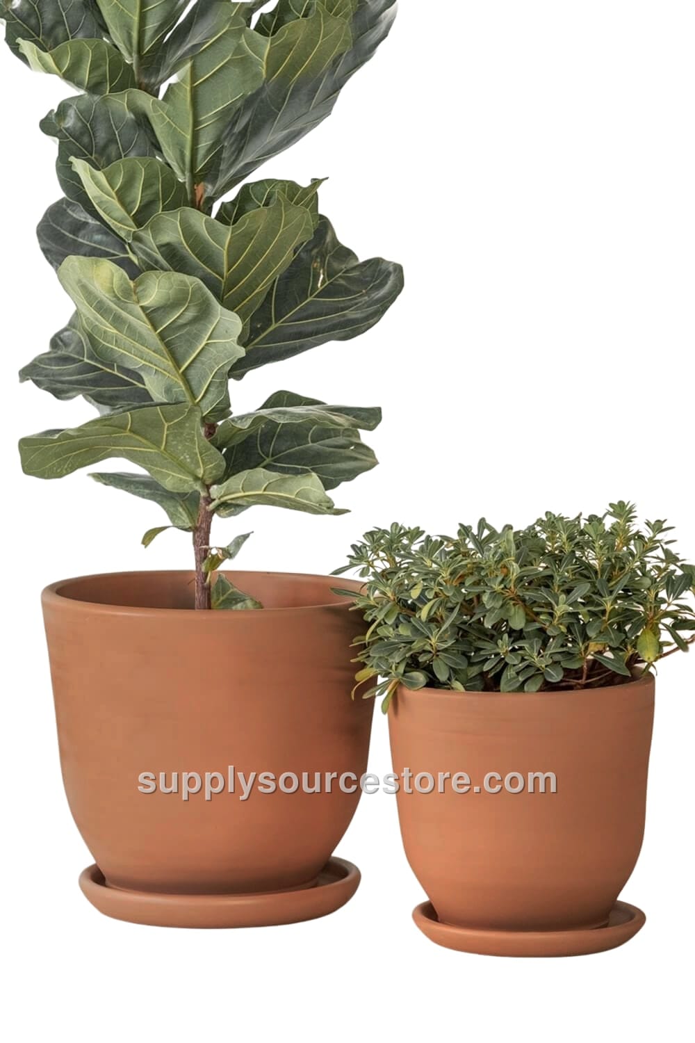 Terracotta Soil Pot