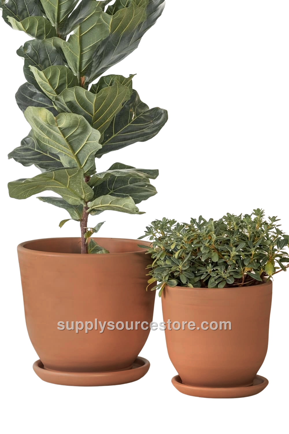 Terracotta Soil Pot