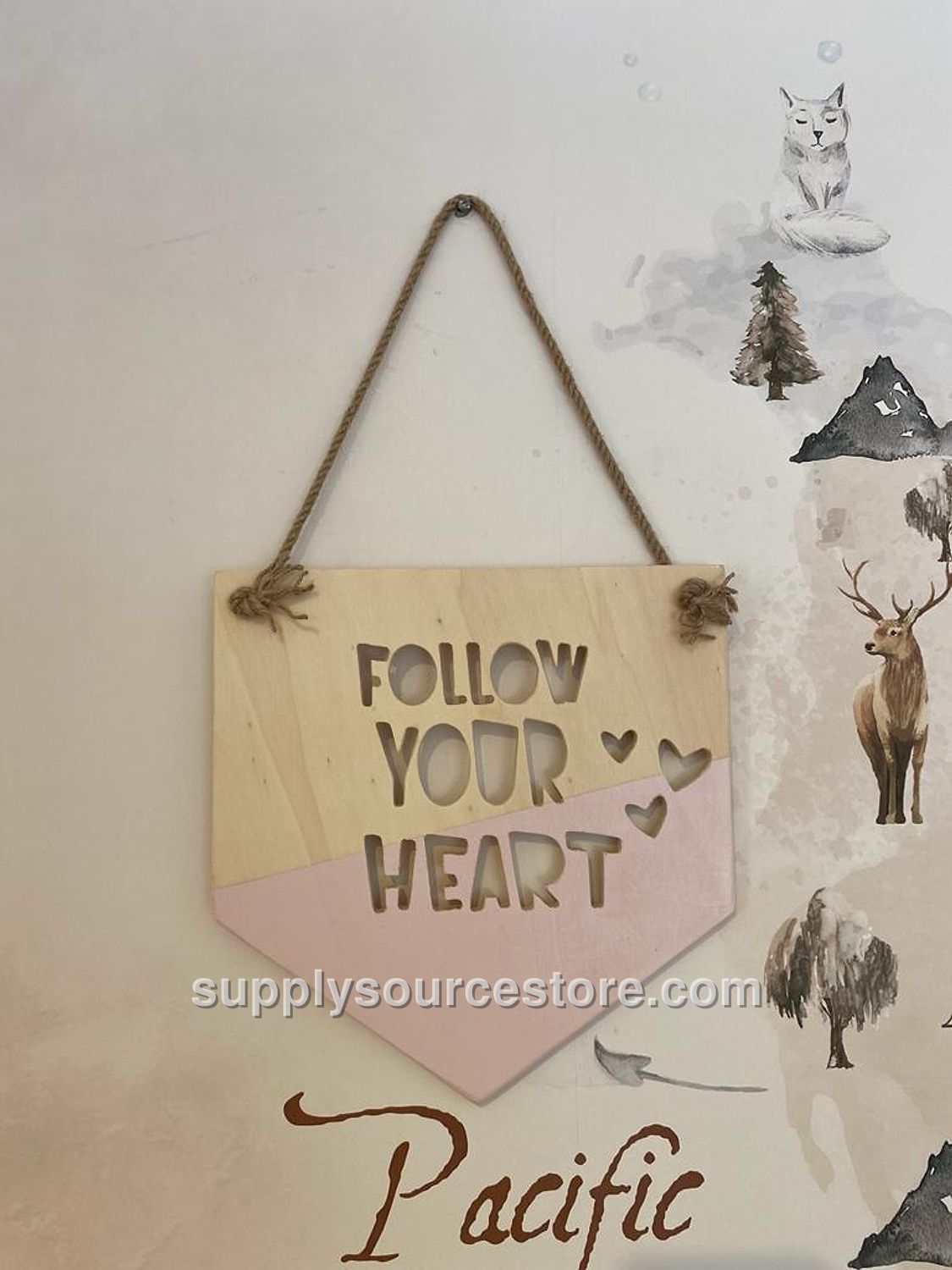 Pink Flag – Follow Your Heart