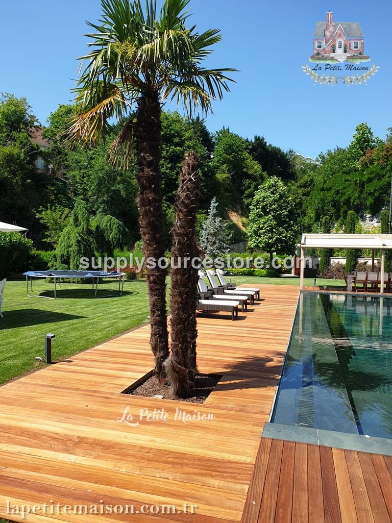 İroko Deck 6601