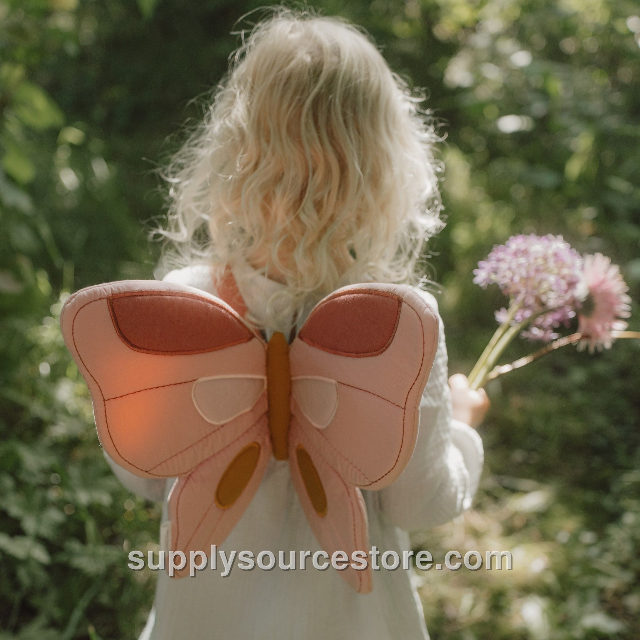 Fairy Wings and Magic Wand
