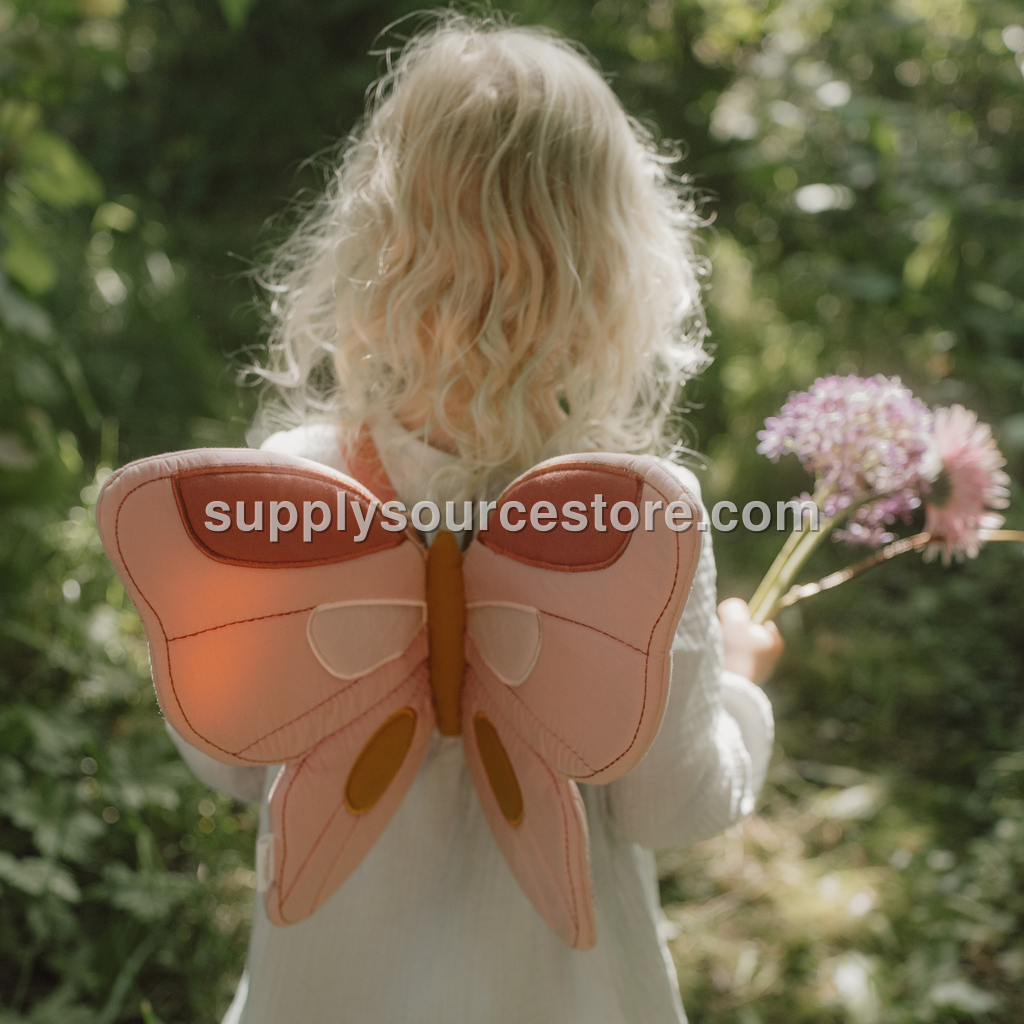 Little Dutch Fairy Wings and Magic Wand