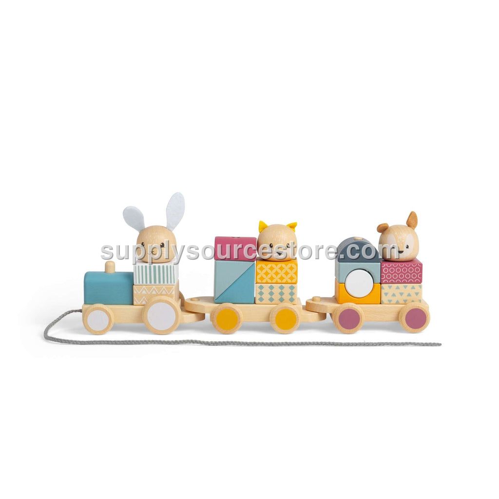 Bigjigs Toys Activity Pull Along Train