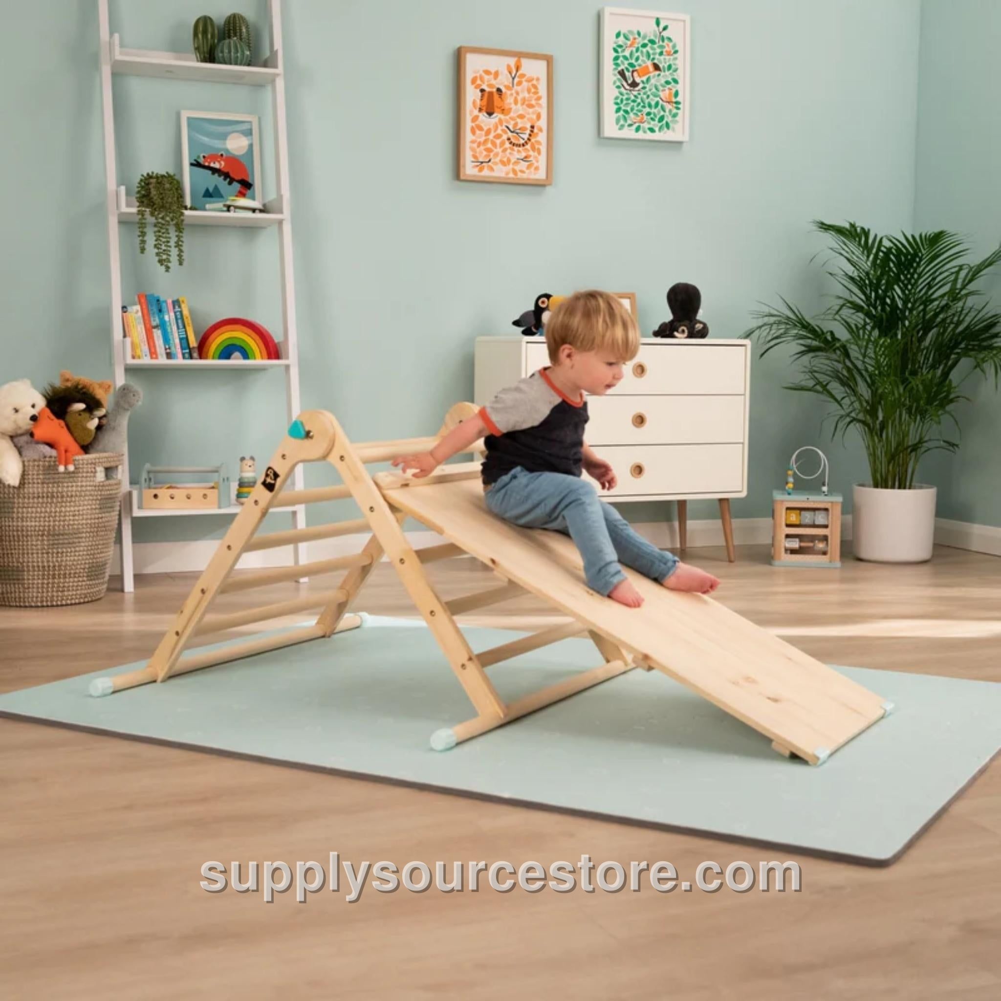 Climbing Triangle with Slide/Bridge