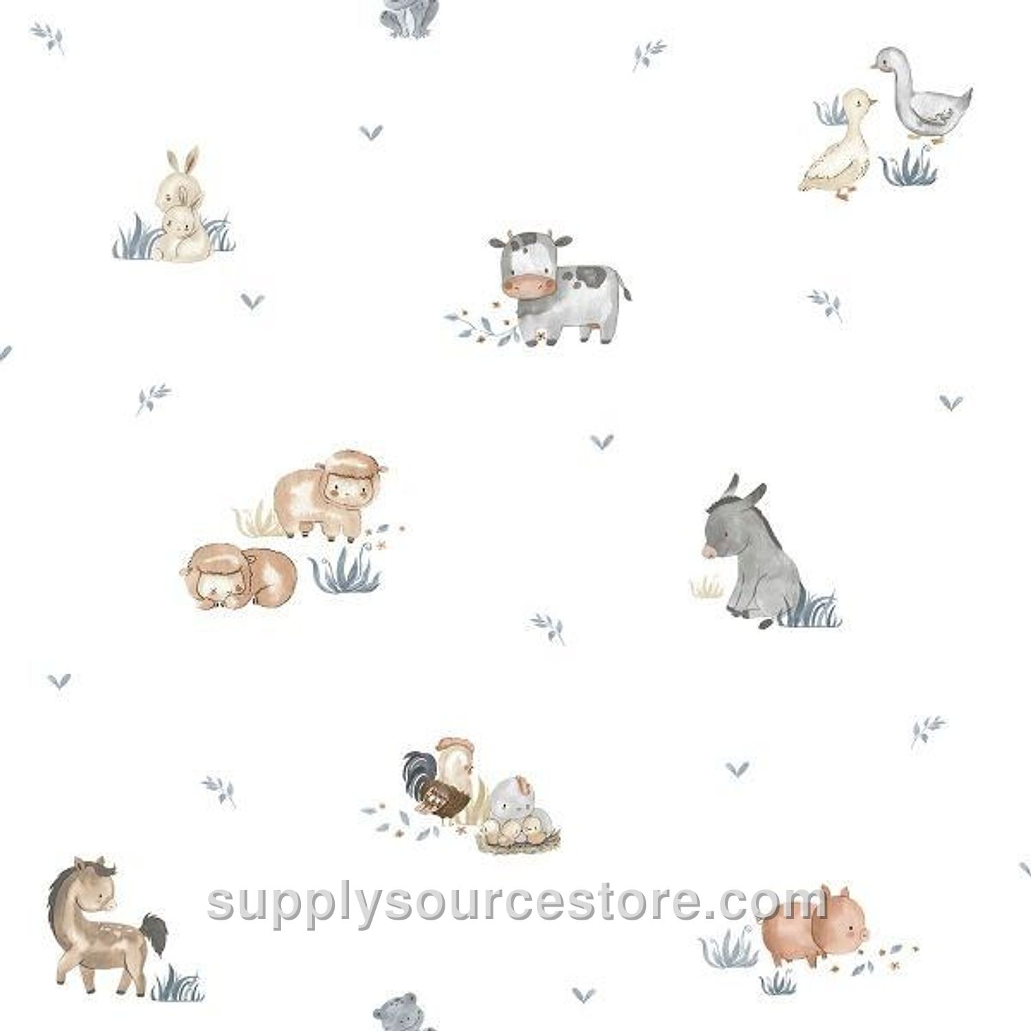 Wall Chart · SS-005648