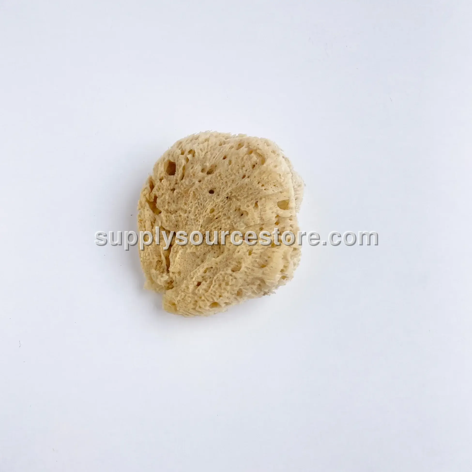 Bodrum Coral Sponge