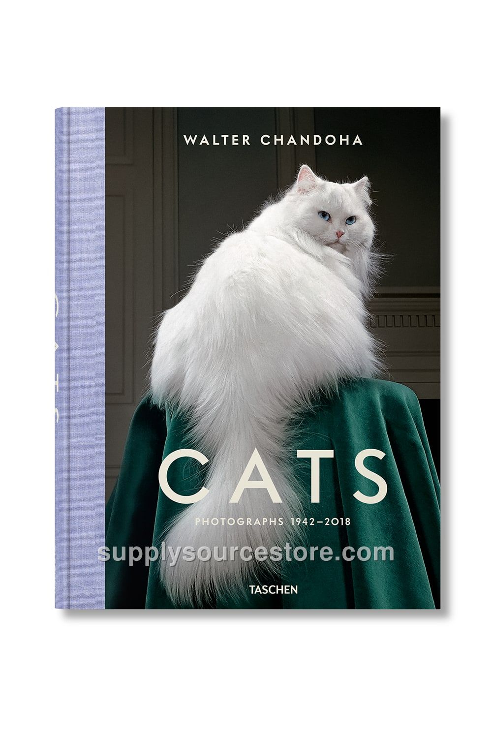 Cats Photographs by Walter Chandoha