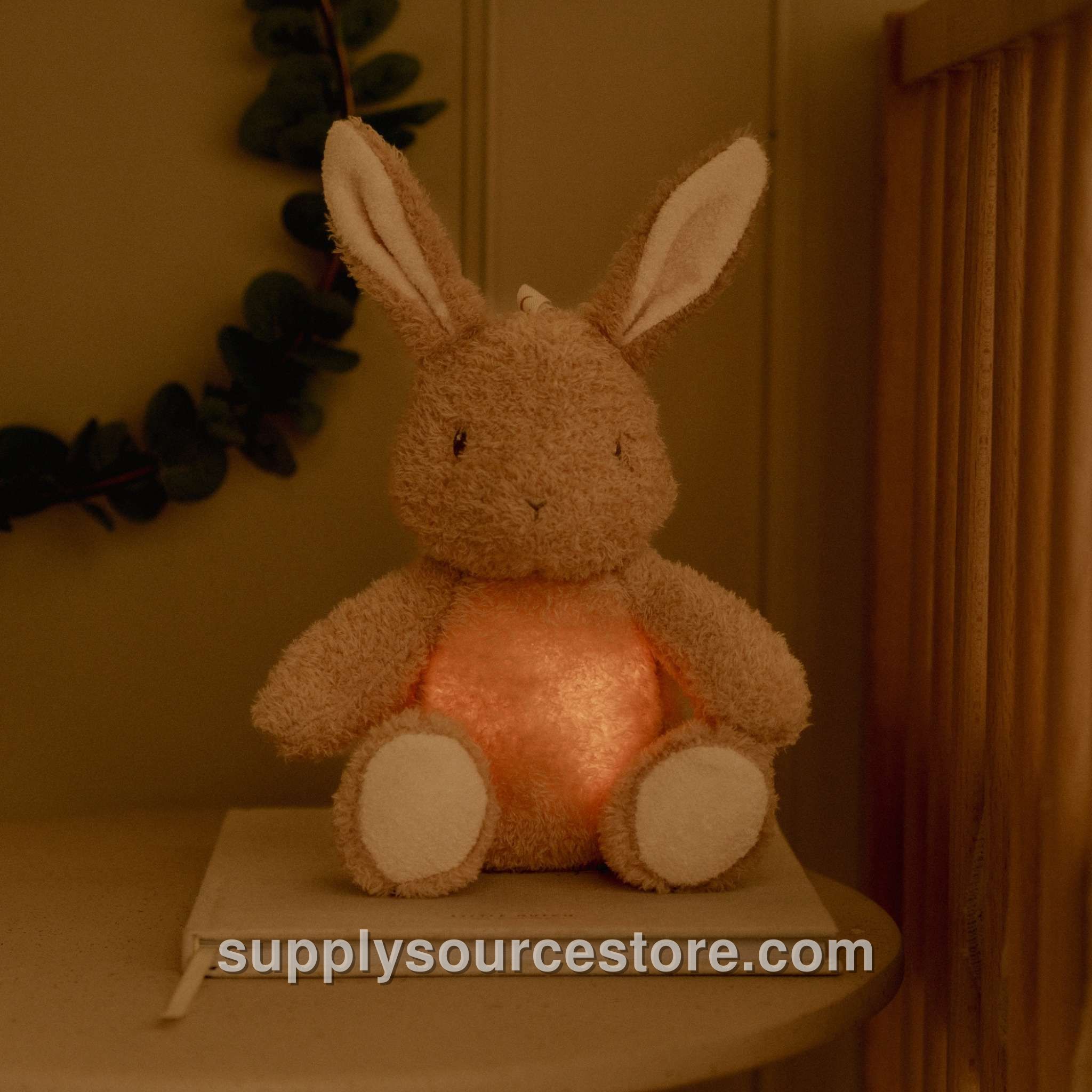 Cuddle Baby Bunny Light & Sound